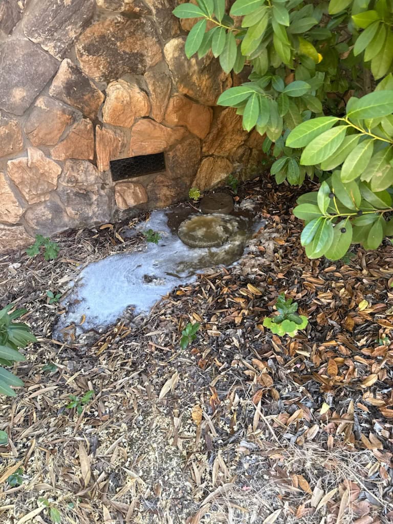A patch of white foam or residue on the ground near a stone wall and leafy shrub could indicate a plumbing issue—consider contacting a plumber El Dorado County, CA for inspection, especially if you suspect a water heater replacement.