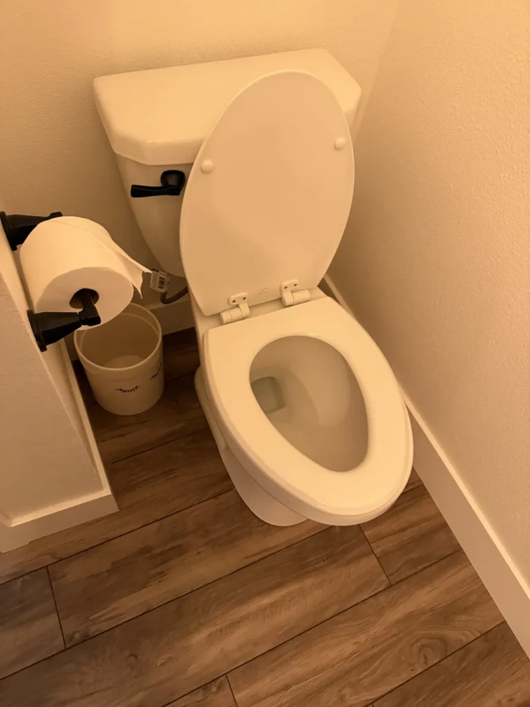 The toilet involved in the Folsom wax-seal repair.