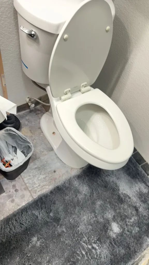 The toilet involved in the Pollock Pines blockage repair.
