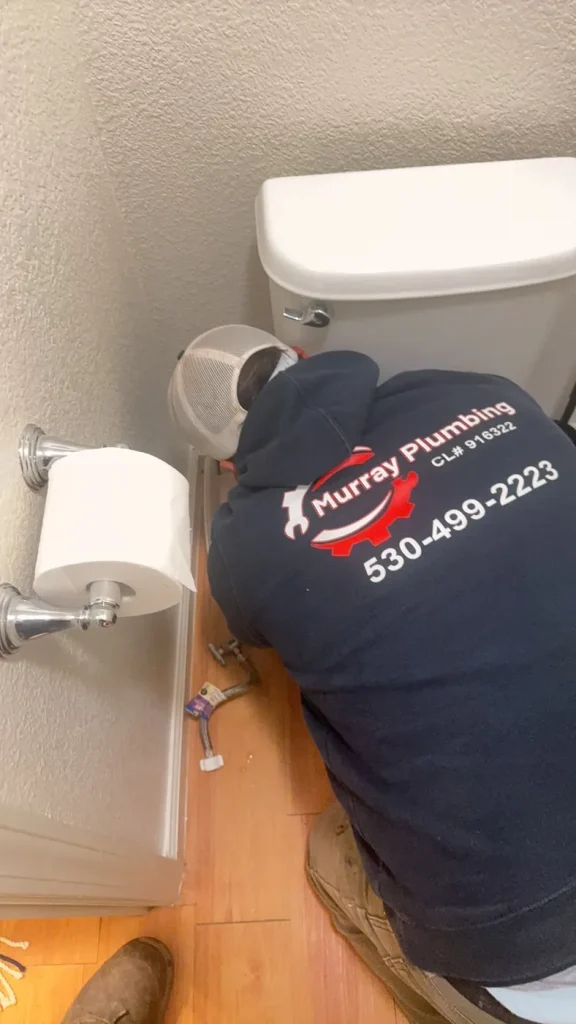 A Murray technician working beside the hall-bath toilet.