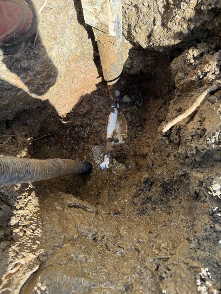 The exposed piping and surrounding soil.