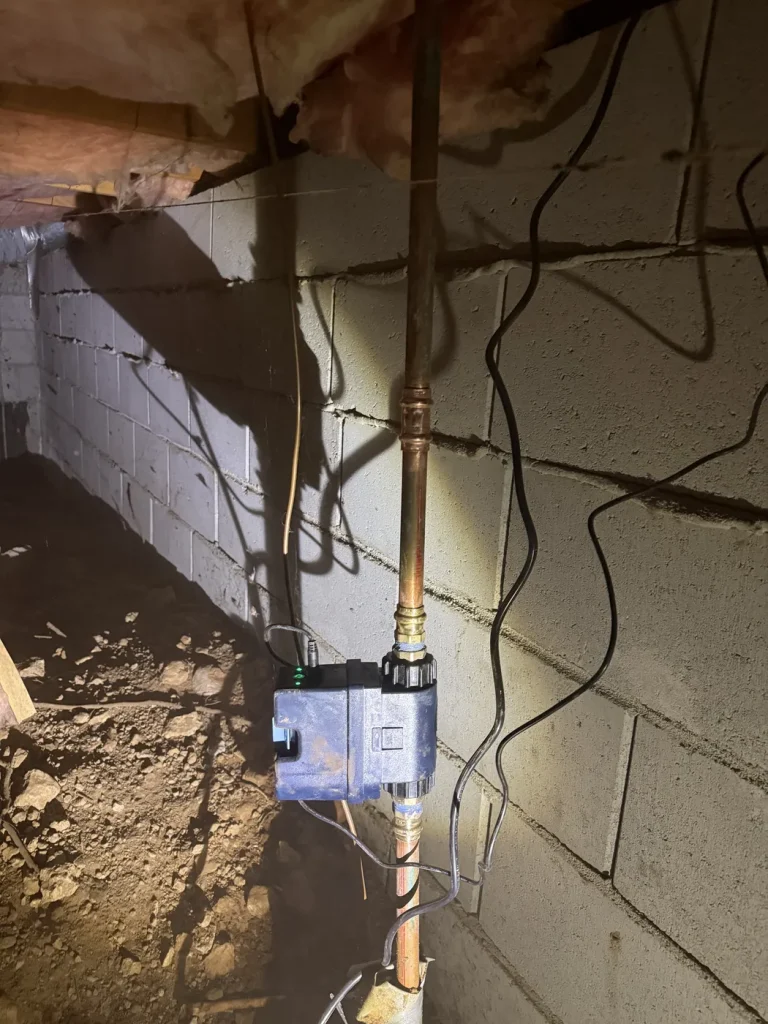The Moen detector on the water line beneath the house.