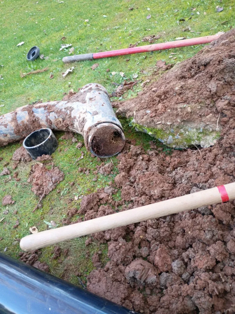 Removed pipework and roots beside the excavated repair area.